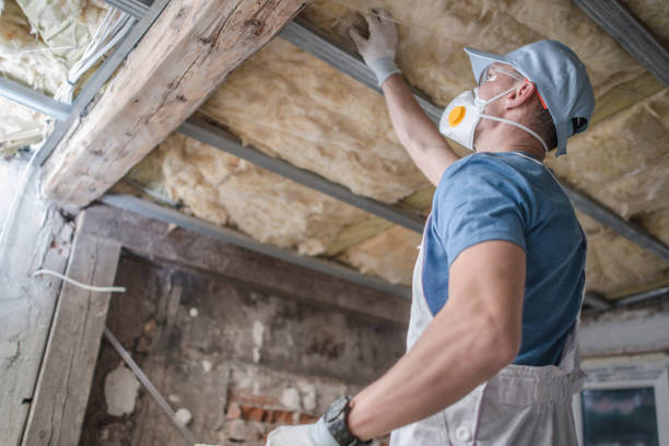 Types of Insulation We Offer in Alorton, IL