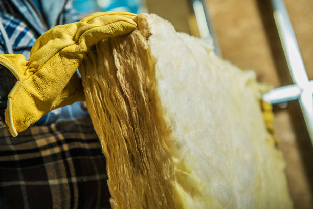 Professional Insulation Contractor in Alorton, IL