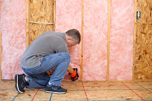Best Spray Foam Insulation in Alorton, IL