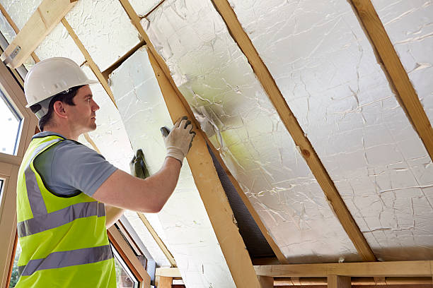 Trusted Alorton, IL Insulation Contractor Experts