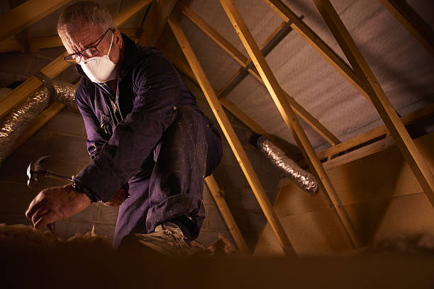 Best Blown-in Insulation in Alorton, IL