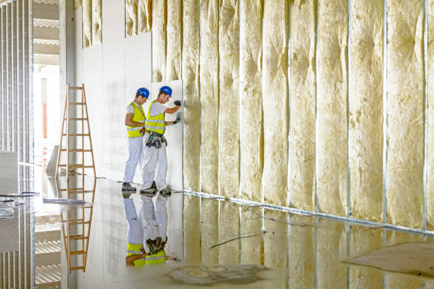 Best Insulation Maintenance and Repair in Alorton, IL
